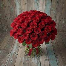 Букет 55 Красных роз Фридом #REPLACE_PRED# Линёво Новосибирской области