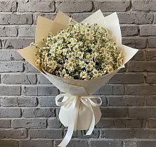 Букет цветов из:  Ромашки в Линёво Новосибирской области