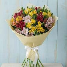 Букет цветов из:  Альстромерии в Линёво Новосибирской области