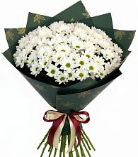 Букет цветов из:  Хризантемы в Линёво Новосибирской области