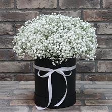 Цветочная композиция из Гипсофила в шляпной коробке #REPLACE_PRED# Линёво Новосибирской области