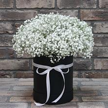 Цветочная композиция из Гипсофила в шляпной коробке в Линёво Новосибирской области
