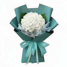 Букет цветов из:  Гортензия в Линёво Новосибирской области
